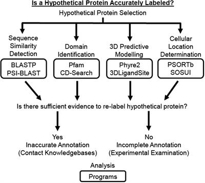 An Educational Bioinformatics Project to Improve Genome Annotation